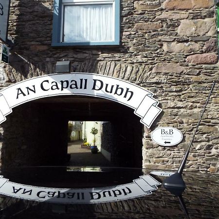 Dingle Centre Townhouse An Capall Dubh 丁格尔 外观 照片