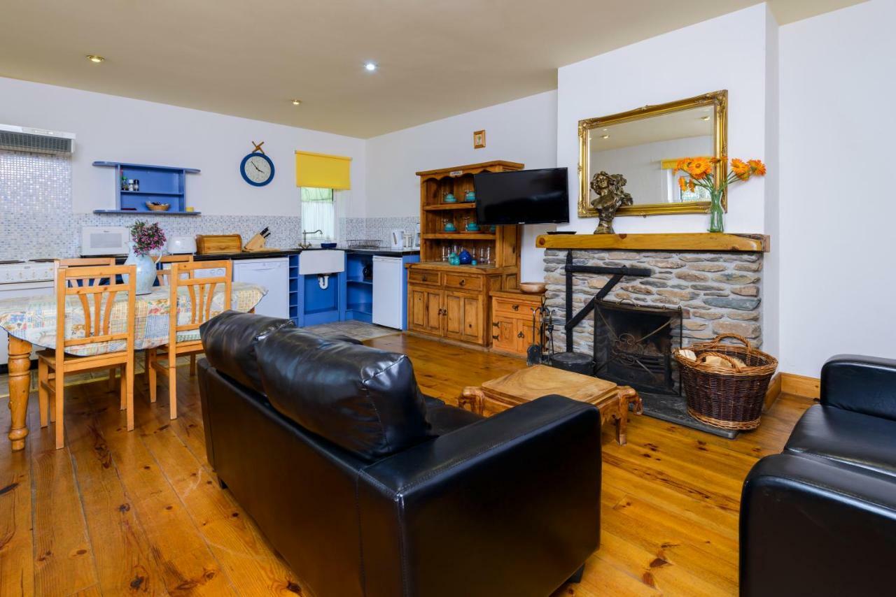 Dingle Centre Townhouse An Capall Dubh 丁格尔 外观 照片