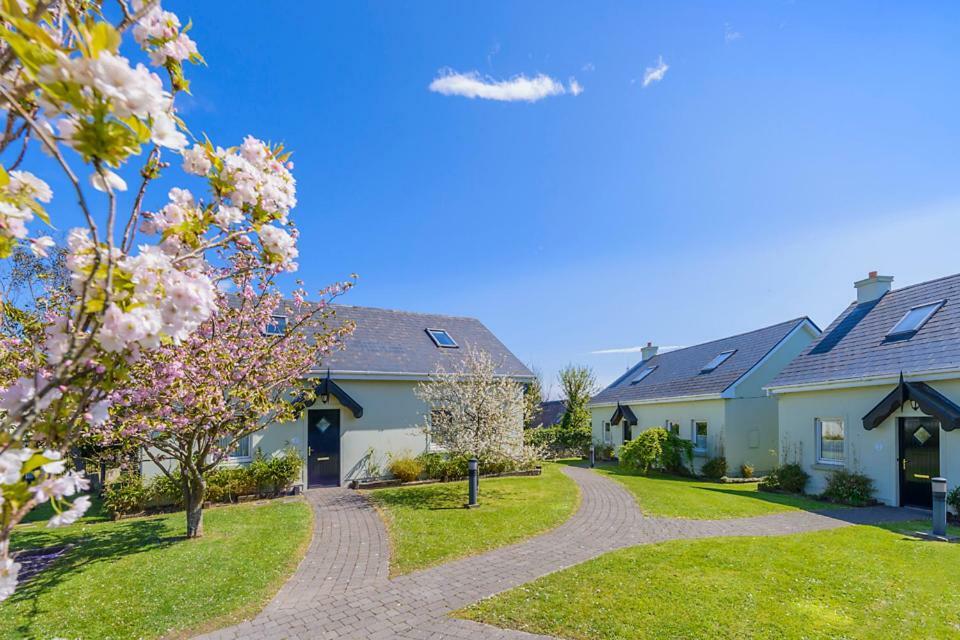 Dingle Centre Townhouse An Capall Dubh 丁格尔 外观 照片