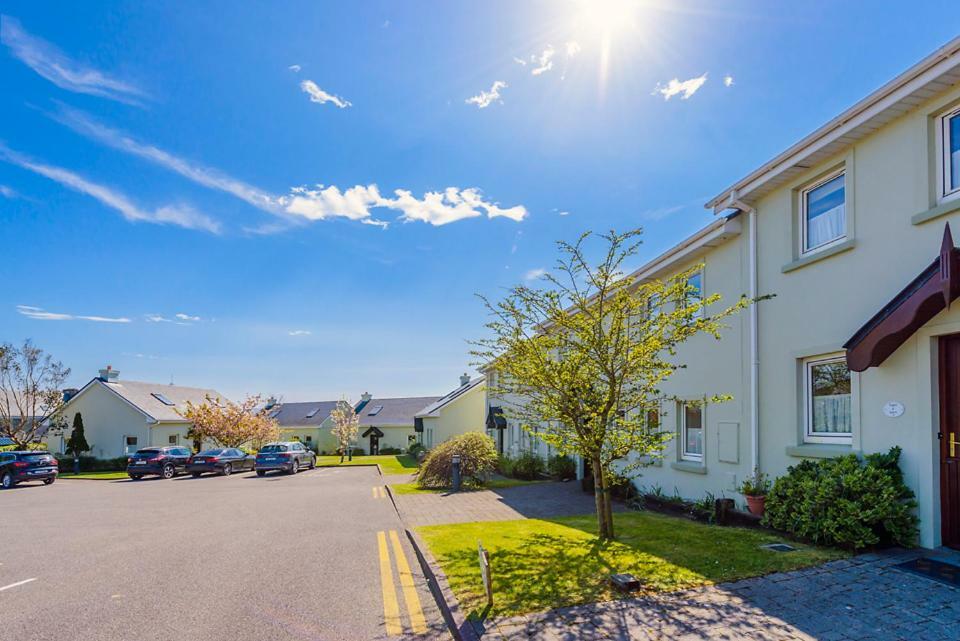 Dingle Centre Townhouse An Capall Dubh 丁格尔 外观 照片