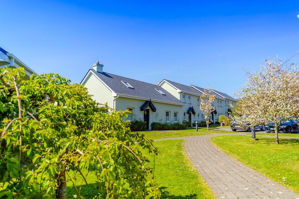 Dingle Centre Townhouse An Capall Dubh 丁格尔 外观 照片