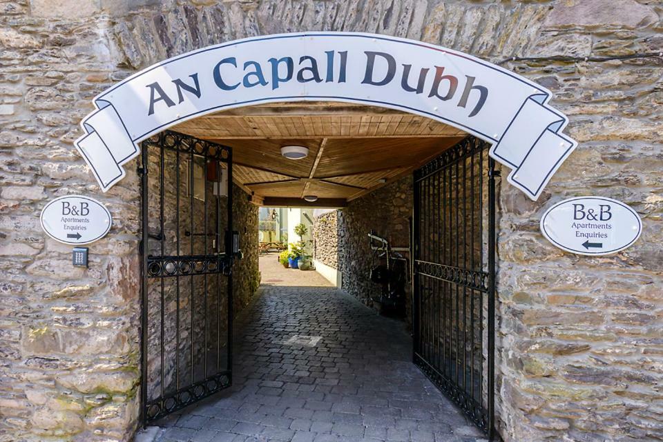 Dingle Centre Townhouse An Capall Dubh 丁格尔 外观 照片
