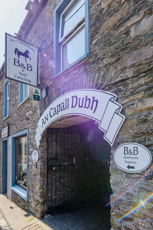 Dingle Centre Townhouse An Capall Dubh 丁格尔 外观 照片